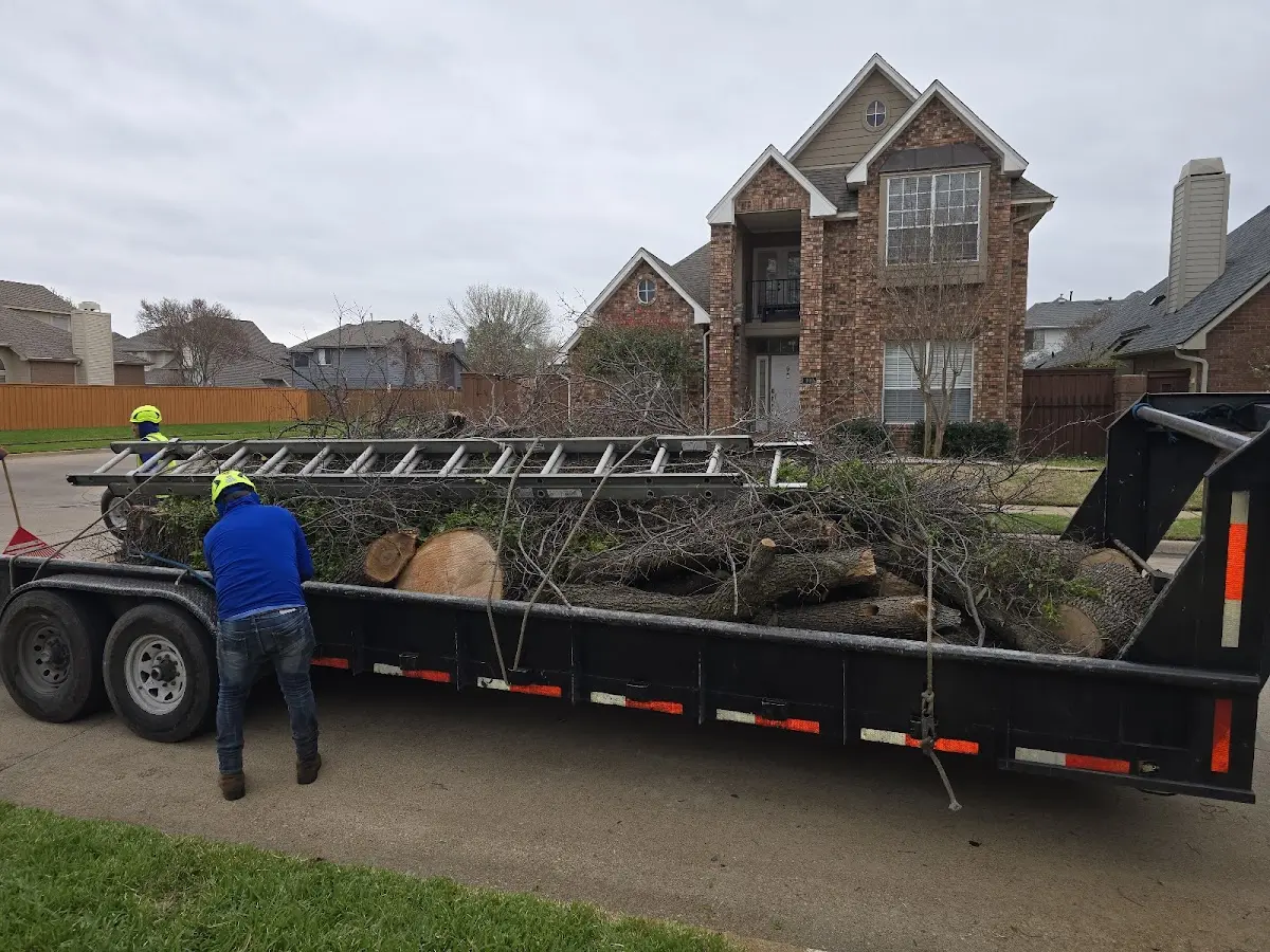 Expert Tree Fertilization with proper safety equipment in Mingus